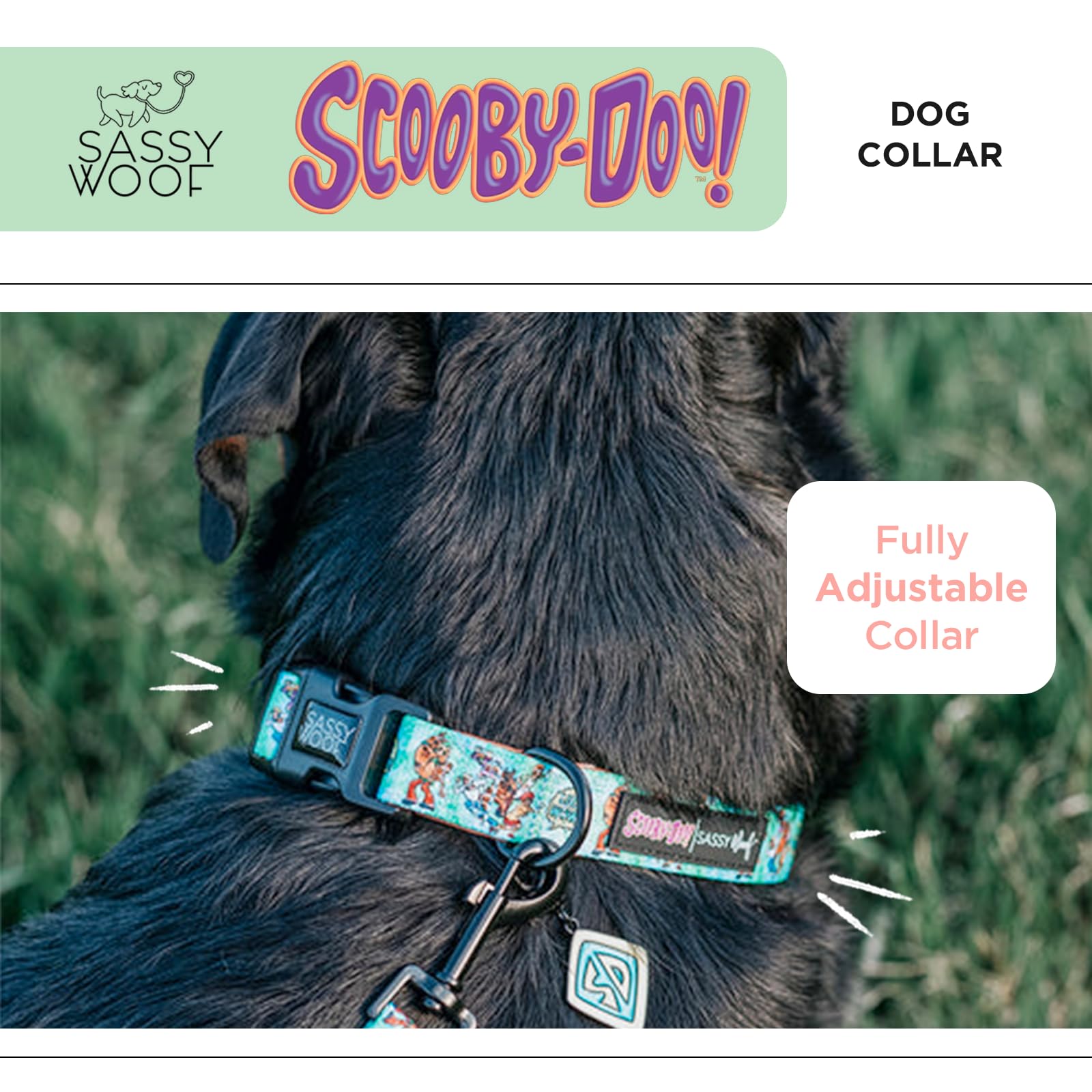 Amazon.co.jp: Sassy Woof ドッグカラー スクービー・ドゥー - L、調節